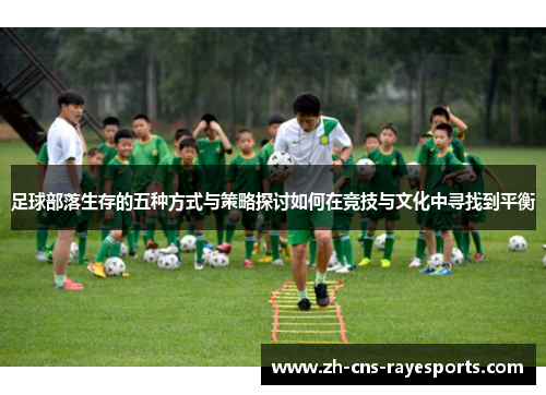 足球部落生存的五种方式与策略探讨如何在竞技与文化中寻找到平衡