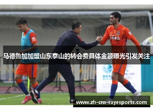 马德鲁加加盟山东泰山的转会费具体金额曝光引发关注 马德鲁加加盟山东泰山的转会费具体金额曝光引发关注