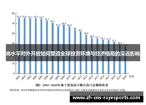 高水平对外开放如何塑造全球投资环境与经济格局的深远影响