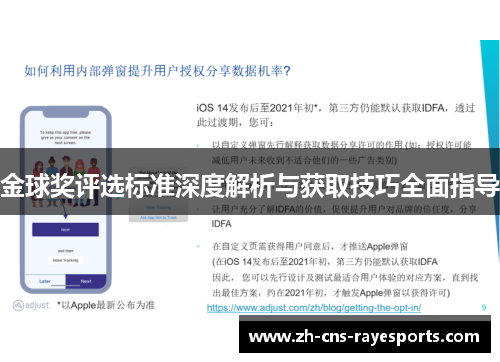 金球奖评选标准深度解析与获取技巧全面指导