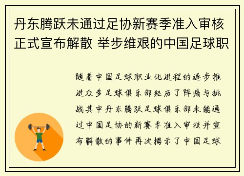 丹东腾跃未通过足协新赛季准入审核正式宣布解散 举步维艰的中国足球职业化困境再现