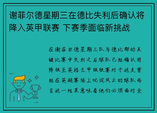 谢菲尔德星期三在德比失利后确认将降入英甲联赛 下赛季面临新挑战